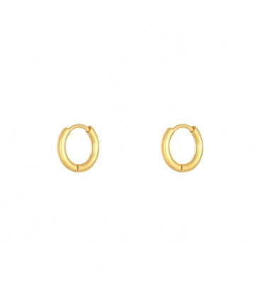 Goudkleurige kleine oorringetjes