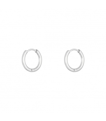 Zilverkleurige kleine dunne oorringen