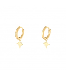 Goudkleurige oorbellen met bedel