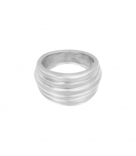 Zilverkleurige ring met vijf lagen (16)