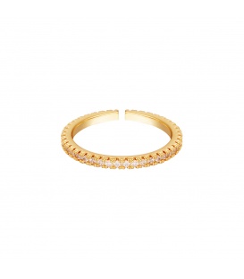 Goudkleurige ring met een rij van kleine witte zirkoonsteentjes