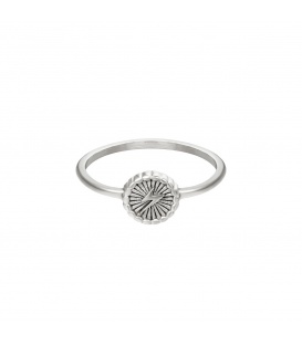 Zilverkleurige ring met stralende donder (16)