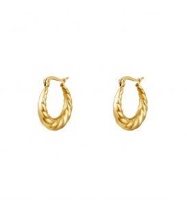 Goudkleurige croissant oorringen