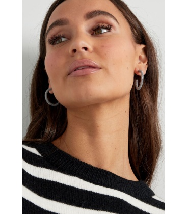 Zilverkleurige oorringen