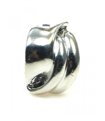 Zilverkleurige metalen oorclips met heldere glans